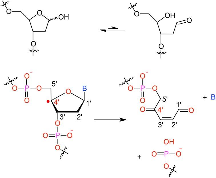 https://cdn.ncbi.nlm.nih.gov/pmc/blobs/e327/4500984/ffc5a43ab023/fchem-03-00043-g0002.jpg