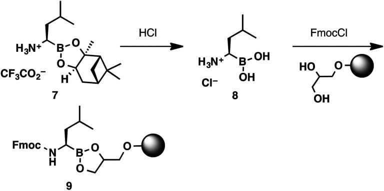 https://cdn.ncbi.nlm.nih.gov/pmc/blobs/e329/9077542/1bd612d2f69a/c7ra13479g-s3.jpg