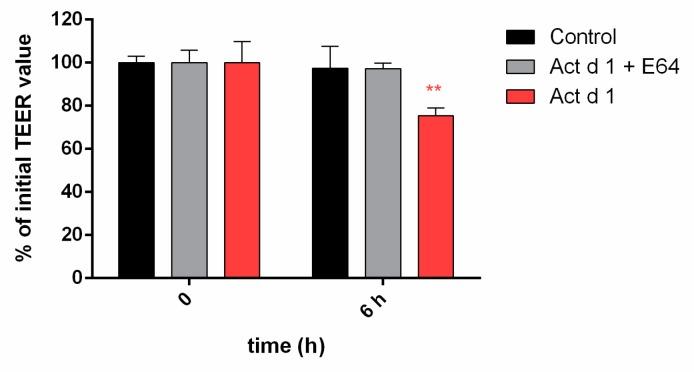 https://cdn.ncbi.nlm.nih.gov/pmc/blobs/e32a/6995561/7b915e87d469/biomolecules-09-00816-g005.jpg