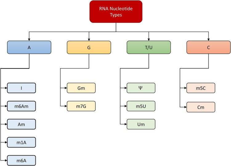 https://cdn.ncbi.nlm.nih.gov/pmc/blobs/e32b/11684893/3c09c71bbfdf/bbae688f1.jpg