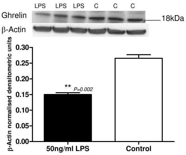 https://cdn.ncbi.nlm.nih.gov/pmc/blobs/e32b/2887880/3cc95298adec/1477-7827-8-55-7.jpg