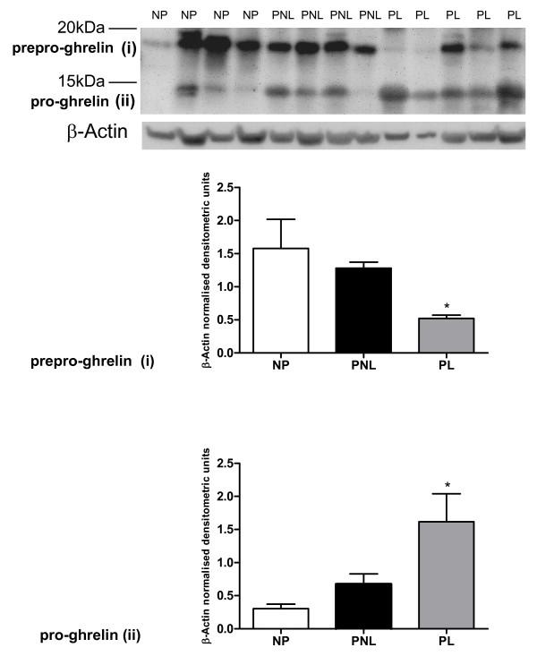 https://cdn.ncbi.nlm.nih.gov/pmc/blobs/e32b/2887880/671f30bac147/1477-7827-8-55-3.jpg