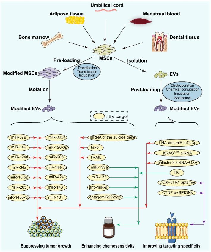 https://cdn.ncbi.nlm.nih.gov/pmc/blobs/e32c/8414717/2b359f3980f5/13045_2021_1141_Fig4_HTML.jpg