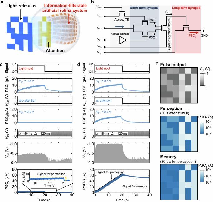 https://cdn.ncbi.nlm.nih.gov/pmc/blobs/e32d/11696553/8e8078892c84/41467_2024_55173_Fig4_HTML.jpg
