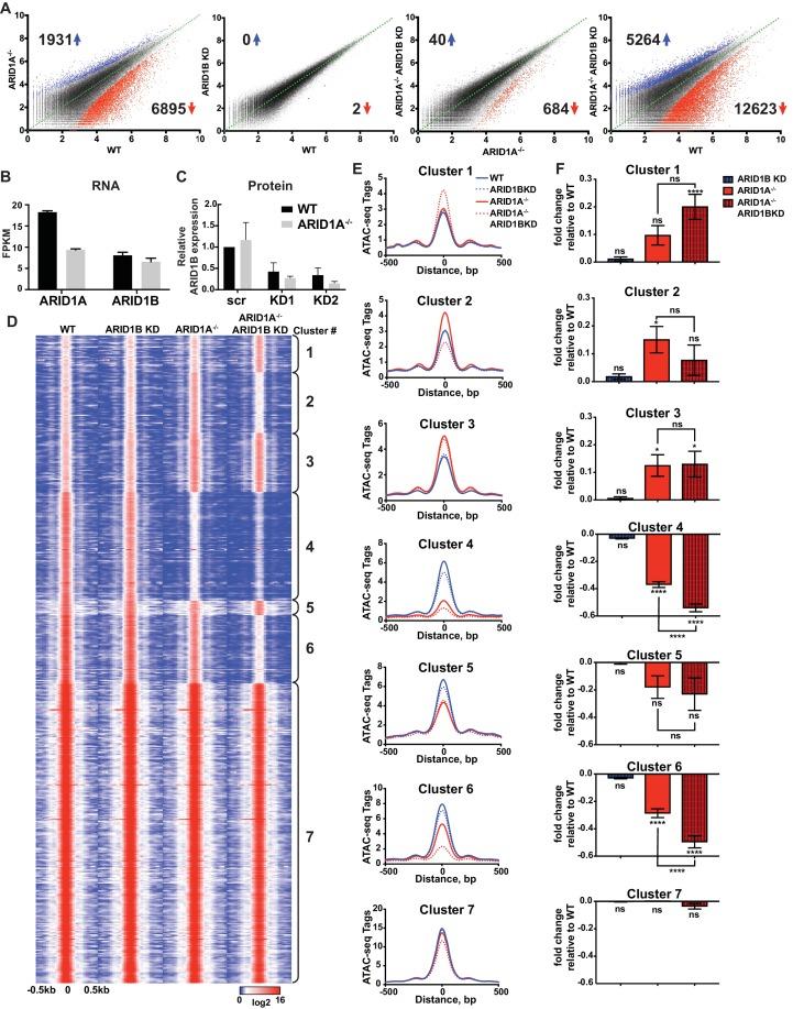 https://cdn.ncbi.nlm.nih.gov/pmc/blobs/e331/5643100/12263e357df7/elife-30506-fig1.jpg