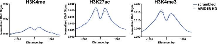 https://cdn.ncbi.nlm.nih.gov/pmc/blobs/e331/5643100/669ecd2780e6/elife-30506-fig7-figsupp2.jpg