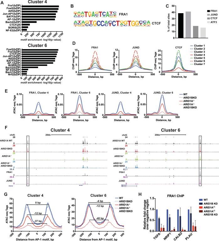 https://cdn.ncbi.nlm.nih.gov/pmc/blobs/e331/5643100/807e83368cba/elife-30506-fig4.jpg