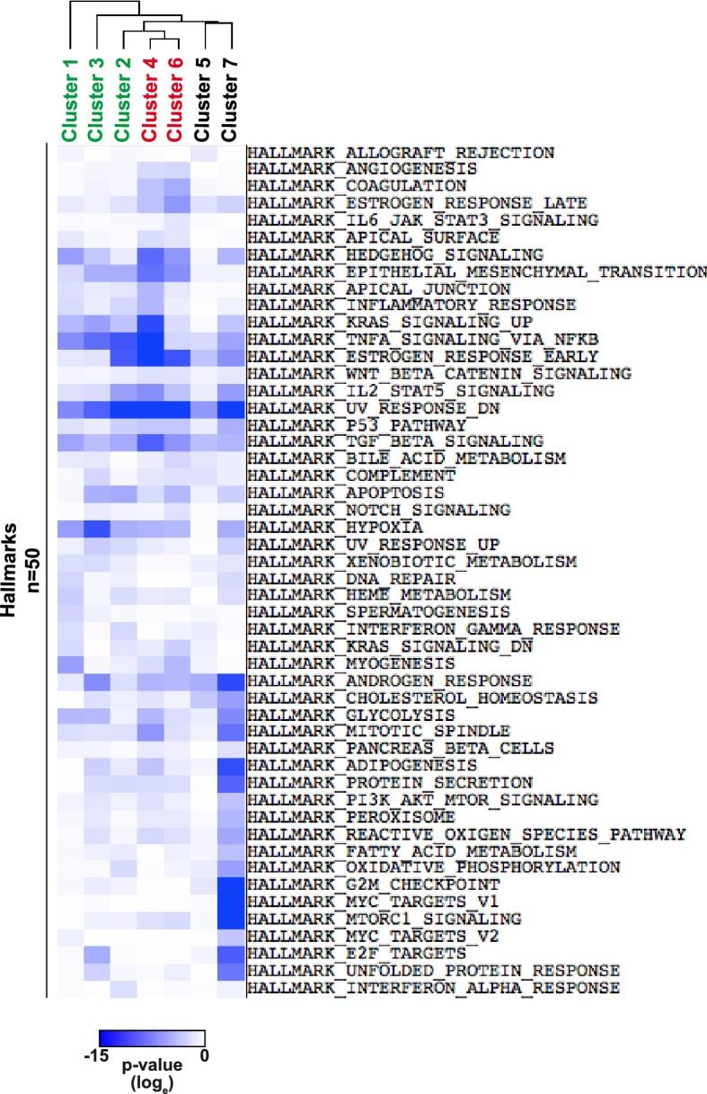 https://cdn.ncbi.nlm.nih.gov/pmc/blobs/e331/5643100/f50bf3322343/elife-30506-fig1-figsupp3.jpg