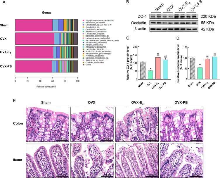 https://cdn.ncbi.nlm.nih.gov/pmc/blobs/e334/12186810/870103554eea/JIR-18-8153-g0003.jpg