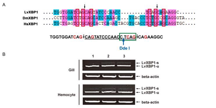 https://cdn.ncbi.nlm.nih.gov/pmc/blobs/e337/11738776/45495ee5241c/figs3.jpg