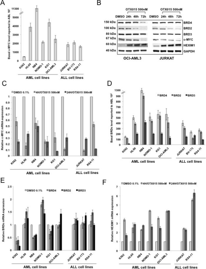 https://cdn.ncbi.nlm.nih.gov/pmc/blobs/e338/4627339/66310b5eea7d/oncotarget-06-17698-g003.jpg