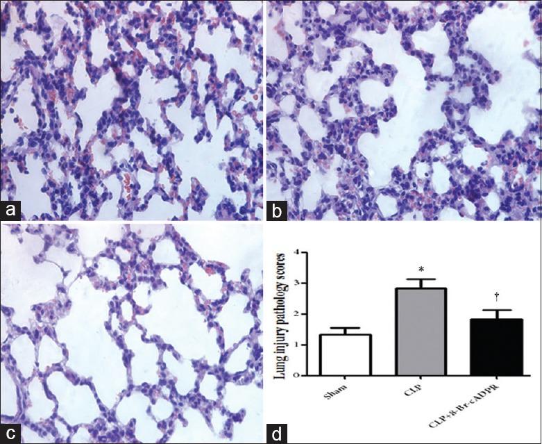 https://cdn.ncbi.nlm.nih.gov/pmc/blobs/e33b/4960964/cef2f5074495/CMJ-129-1725-g004.jpg