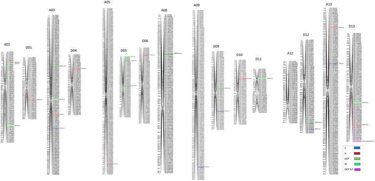 https://cdn.ncbi.nlm.nih.gov/pmc/blobs/e33c/9433993/4964fd0bf629/fpls-13-981682-g002.jpg