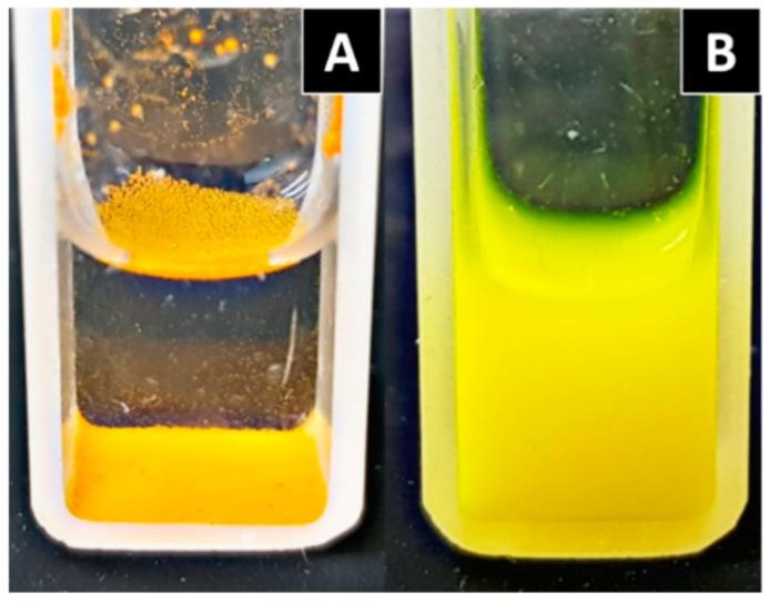 https://cdn.ncbi.nlm.nih.gov/pmc/blobs/e33d/6406762/c16d012094c8/biomolecules-09-00056-g010.jpg