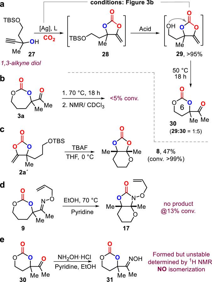 https://cdn.ncbi.nlm.nih.gov/pmc/blobs/e33e/11799354/fcb81d845454/41467_2025_56681_Fig6_HTML.jpg