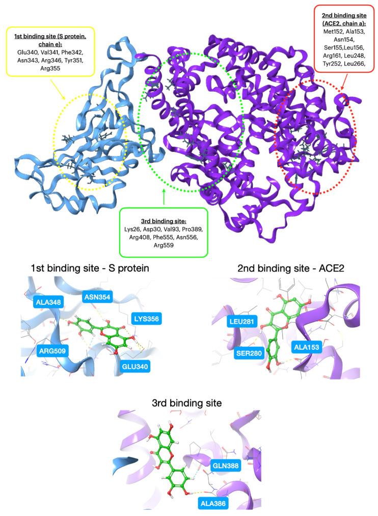 https://cdn.ncbi.nlm.nih.gov/pmc/blobs/e33f/10745404/2f34420a9dbc/molecules-28-08141-sch002.jpg