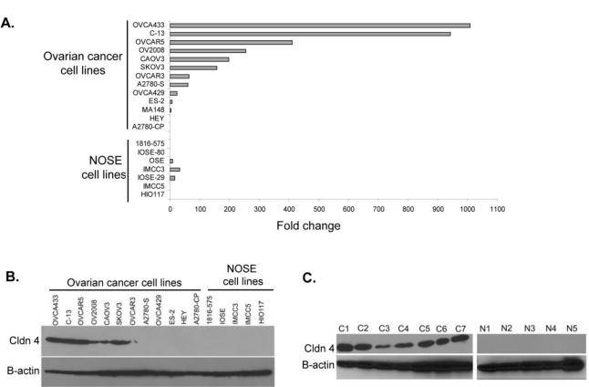 https://cdn.ncbi.nlm.nih.gov/pmc/blobs/e341/3083709/7d4d9e776d8c/ijms-12-01334f1.jpg