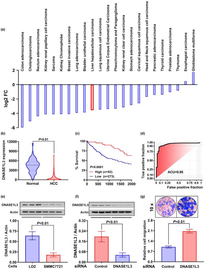 https://cdn.ncbi.nlm.nih.gov/pmc/blobs/e342/9021716/b69d44d9d384/CTI2-11-e1386-g002.jpg