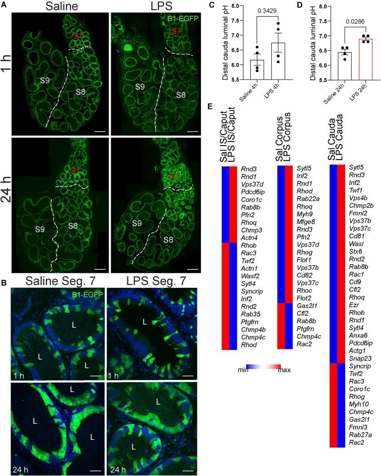 https://cdn.ncbi.nlm.nih.gov/pmc/blobs/e346/12203219/97ec70fd2569/zqaf023fig4.jpg