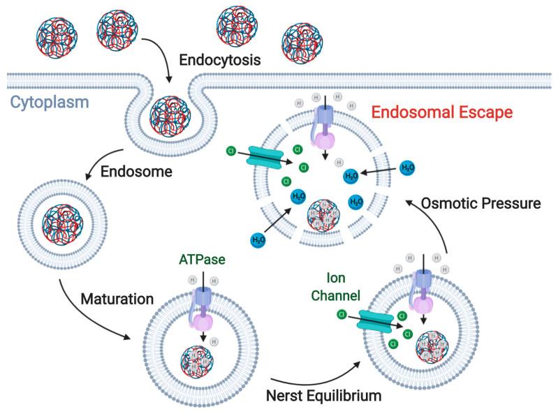 https://cdn.ncbi.nlm.nih.gov/pmc/blobs/e348/7559083/69193d420a0c/nanomaterials-10-01816-g004.jpg