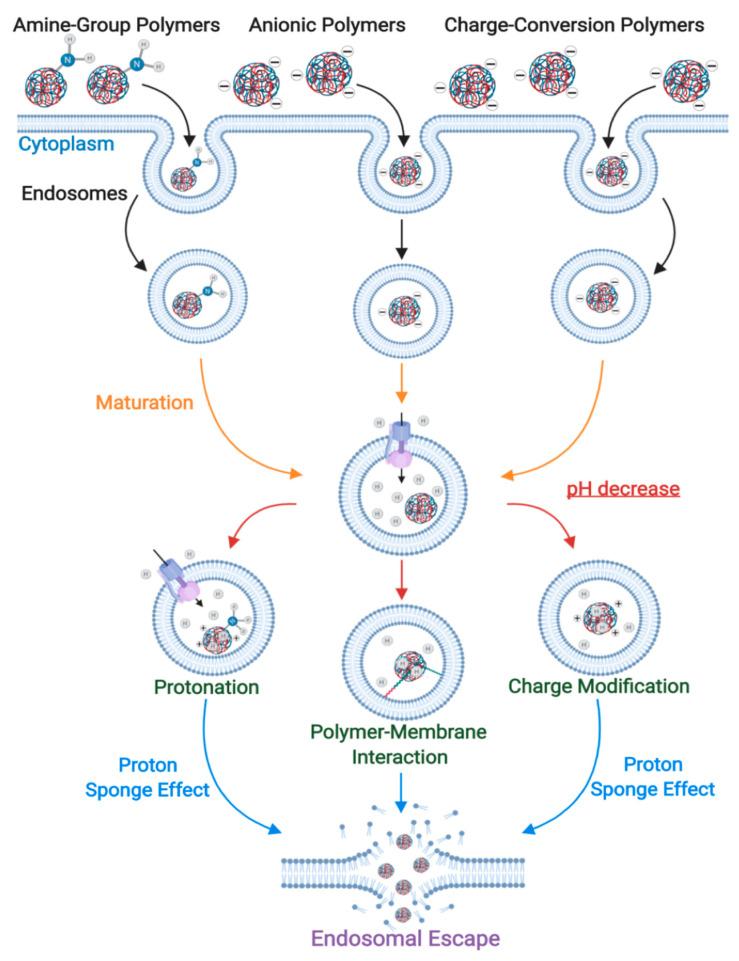 https://cdn.ncbi.nlm.nih.gov/pmc/blobs/e348/7559083/698407868e1a/nanomaterials-10-01816-g007.jpg