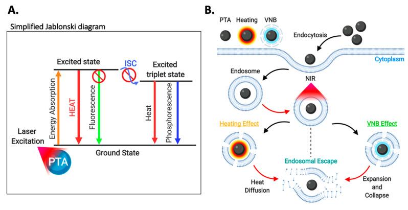 https://cdn.ncbi.nlm.nih.gov/pmc/blobs/e348/7559083/8406d9f61289/nanomaterials-10-01816-g010.jpg