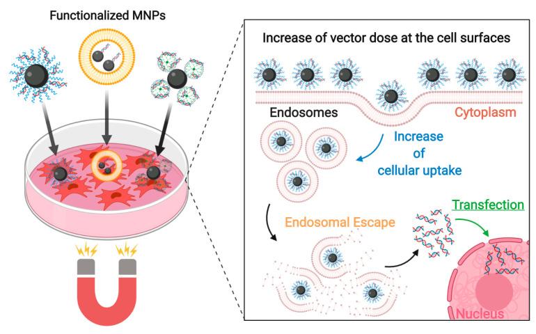 https://cdn.ncbi.nlm.nih.gov/pmc/blobs/e348/7559083/9e5eae3f0a5c/nanomaterials-10-01816-g012.jpg