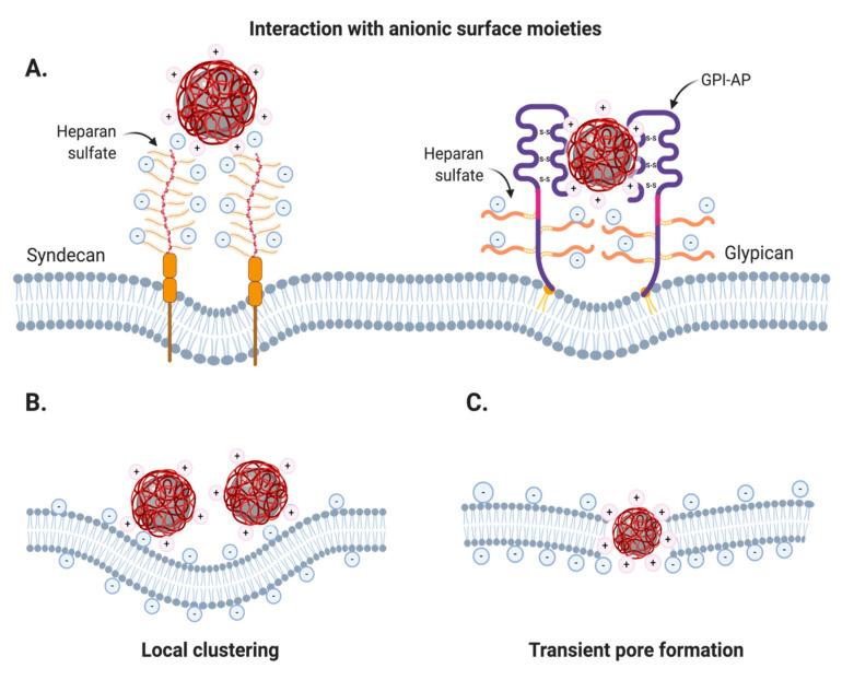https://cdn.ncbi.nlm.nih.gov/pmc/blobs/e348/7559083/cd73e014920a/nanomaterials-10-01816-g002.jpg