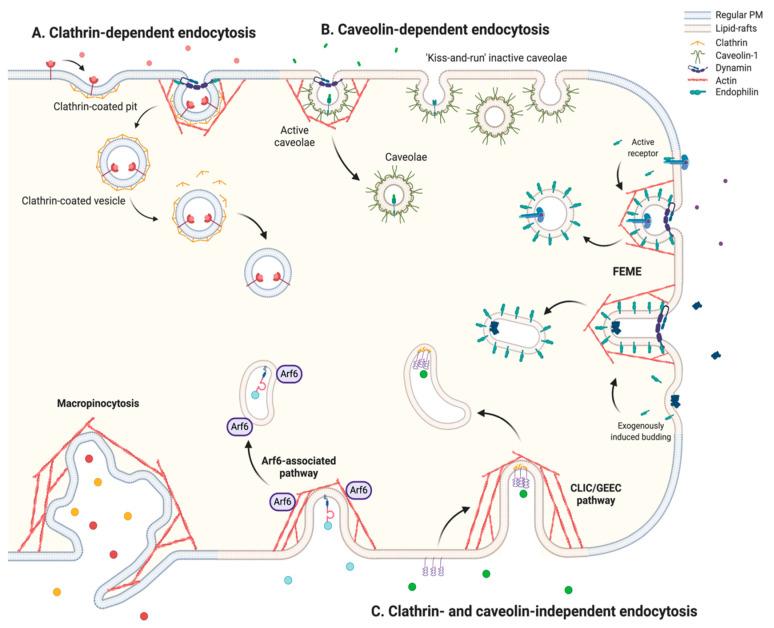 https://cdn.ncbi.nlm.nih.gov/pmc/blobs/e348/7559083/e0708fb0969d/nanomaterials-10-01816-g001.jpg
