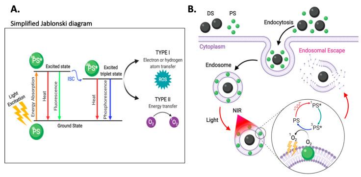 https://cdn.ncbi.nlm.nih.gov/pmc/blobs/e348/7559083/f3700a9a2358/nanomaterials-10-01816-g008.jpg