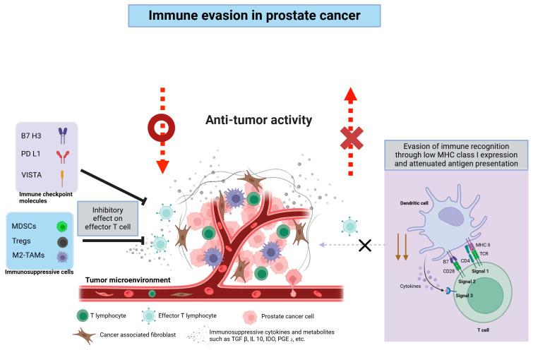 https://cdn.ncbi.nlm.nih.gov/pmc/blobs/e34a/11987915/a31a194192c9/cancers-17-01064-g001.jpg