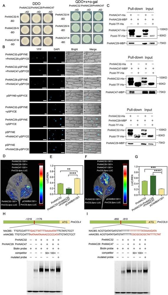 https://cdn.ncbi.nlm.nih.gov/pmc/blobs/e34a/12317187/f251d8dd3c64/uhaf157f8.jpg