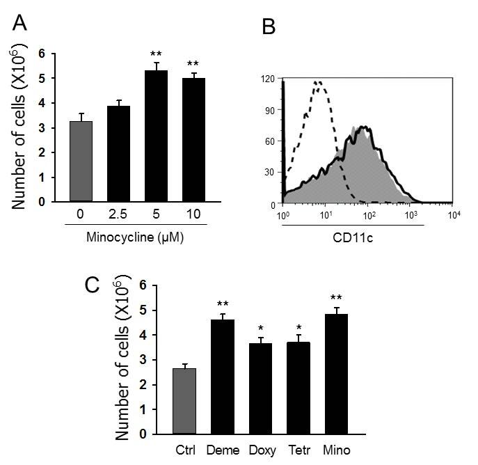 https://cdn.ncbi.nlm.nih.gov/pmc/blobs/e34b/5288151/1f10e8014658/oncotarget-07-52818-g001.jpg