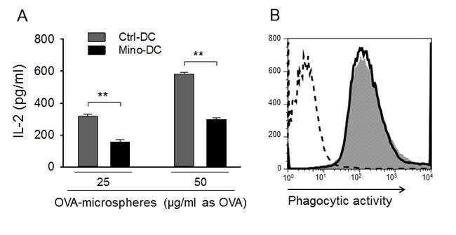 https://cdn.ncbi.nlm.nih.gov/pmc/blobs/e34b/5288151/31d671ed3c74/oncotarget-07-52818-g004.jpg