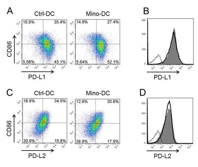 https://cdn.ncbi.nlm.nih.gov/pmc/blobs/e34b/5288151/92c17ef3d441/oncotarget-07-52818-g007.jpg