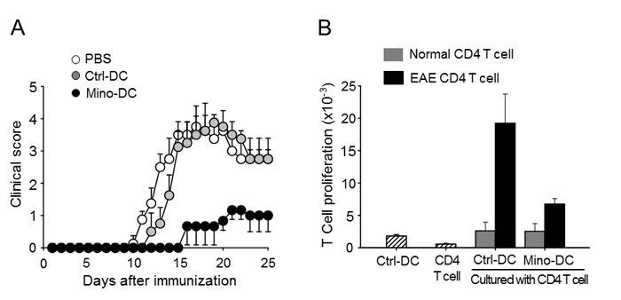 https://cdn.ncbi.nlm.nih.gov/pmc/blobs/e34b/5288151/b65b098671e6/oncotarget-07-52818-g008.jpg