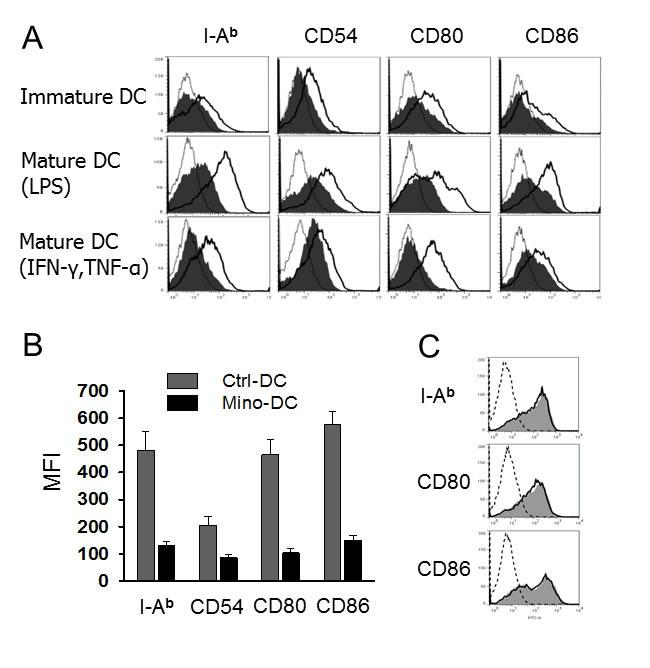 https://cdn.ncbi.nlm.nih.gov/pmc/blobs/e34b/5288151/ddccd1acc755/oncotarget-07-52818-g002.jpg