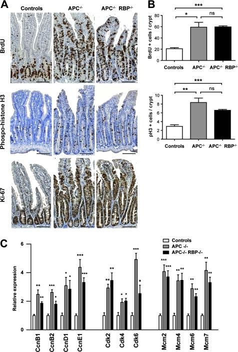 https://cdn.ncbi.nlm.nih.gov/pmc/blobs/e34c/3022366/d8e437d1ff63/gutjnl204719fig6.jpg