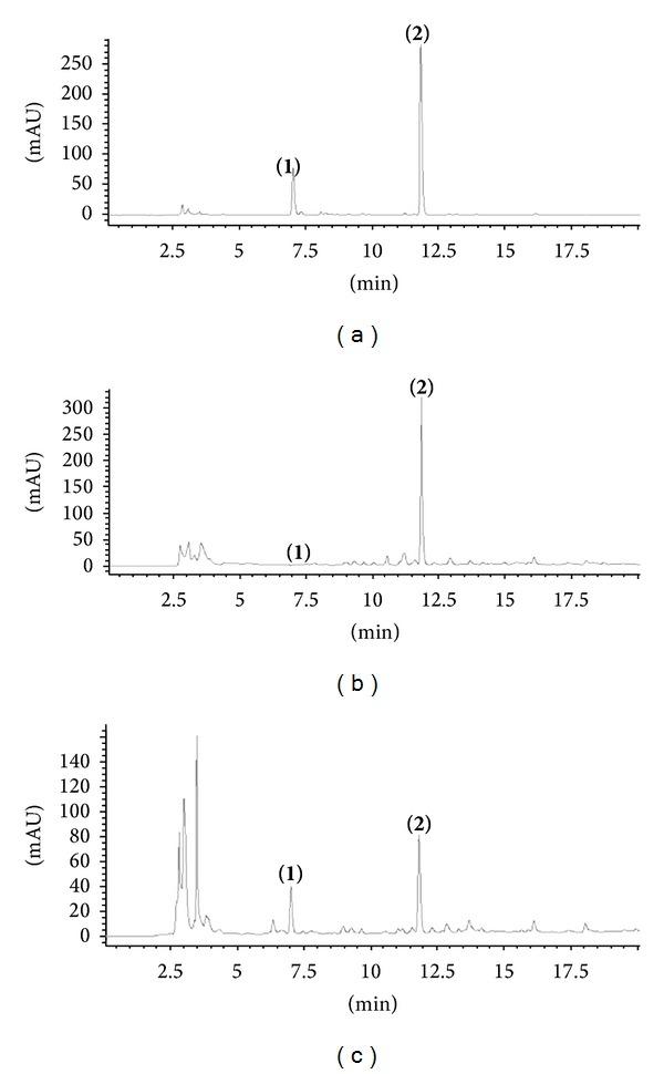https://cdn.ncbi.nlm.nih.gov/pmc/blobs/e34d/4140102/553c91961723/TSWJ2014-515291.003.jpg