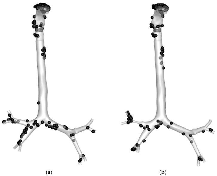 https://cdn.ncbi.nlm.nih.gov/pmc/blobs/e34d/9407765/3fa168215a08/ijerph-19-10388-g016.jpg