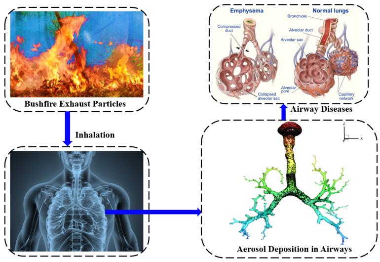https://cdn.ncbi.nlm.nih.gov/pmc/blobs/e34d/9407765/d90f225c77ac/ijerph-19-10388-g012.jpg