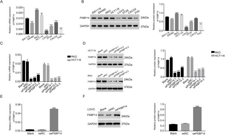 https://cdn.ncbi.nlm.nih.gov/pmc/blobs/e34e/6830384/ed10ce7c7ccf/OTT-12-9069-g0002.jpg