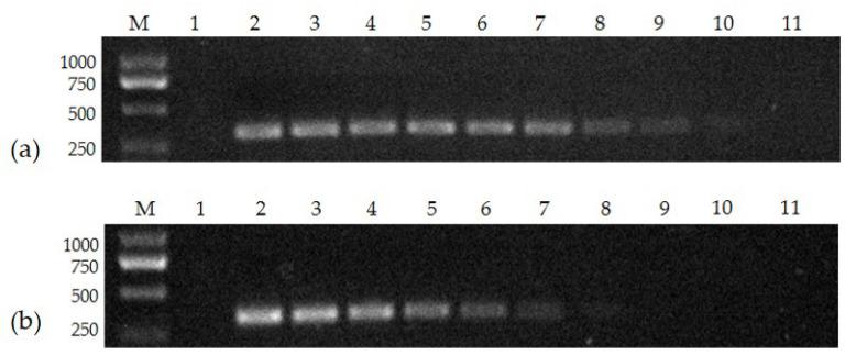 https://cdn.ncbi.nlm.nih.gov/pmc/blobs/e34f/10386105/1c522a4723a9/vetsci-10-00440-g002.jpg