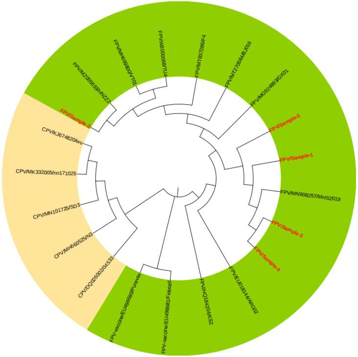 https://cdn.ncbi.nlm.nih.gov/pmc/blobs/e34f/10386105/b8e0f40da29e/vetsci-10-00440-g005.jpg