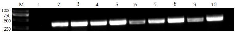 https://cdn.ncbi.nlm.nih.gov/pmc/blobs/e34f/10386105/f274ba7cbb70/vetsci-10-00440-g004.jpg