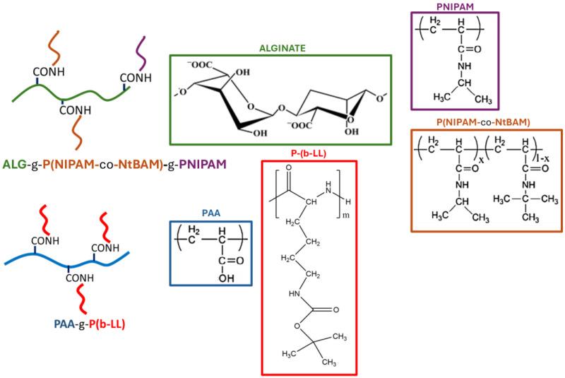 https://cdn.ncbi.nlm.nih.gov/pmc/blobs/e34f/11679975/ae4130a4bc99/polymers-16-03555-sch001.jpg