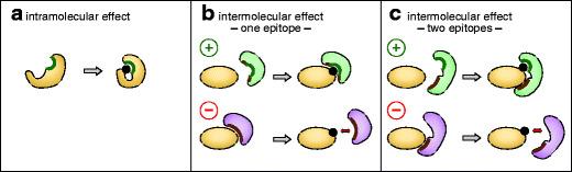 https://cdn.ncbi.nlm.nih.gov/pmc/blobs/e351/3714560/44f61ab6ee29/412_2013_410_Fig1_HTML.jpg