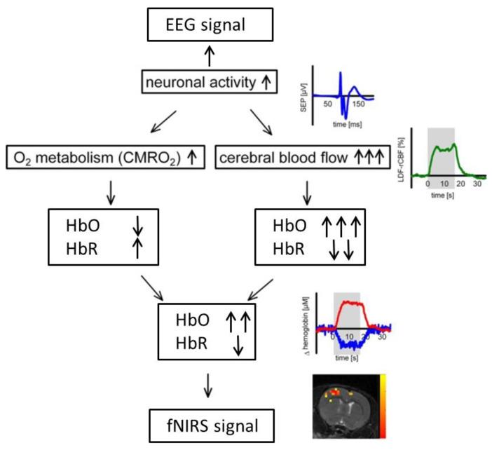 https://cdn.ncbi.nlm.nih.gov/pmc/blobs/e351/9371171/7ac3cf7a566d/sensors-22-05865-g002.jpg
