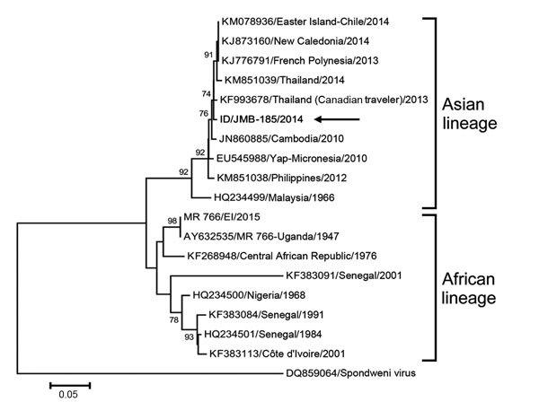 https://cdn.ncbi.nlm.nih.gov/pmc/blobs/e354/4861529/66ba77831b78/15-1915-F.jpg