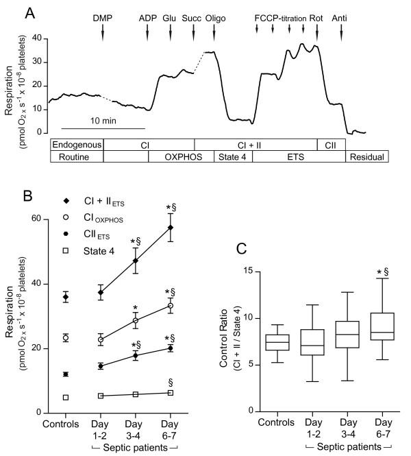 https://cdn.ncbi.nlm.nih.gov/pmc/blobs/e355/3219983/2e0571ca455b/cc9337-2.jpg
